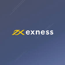 Exness vs Oanda: A Comprehensive Contrast for Traders