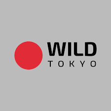 Wild Tokyo Casino evaluation, incentive, complimentary rotates, and genuine gamer examines